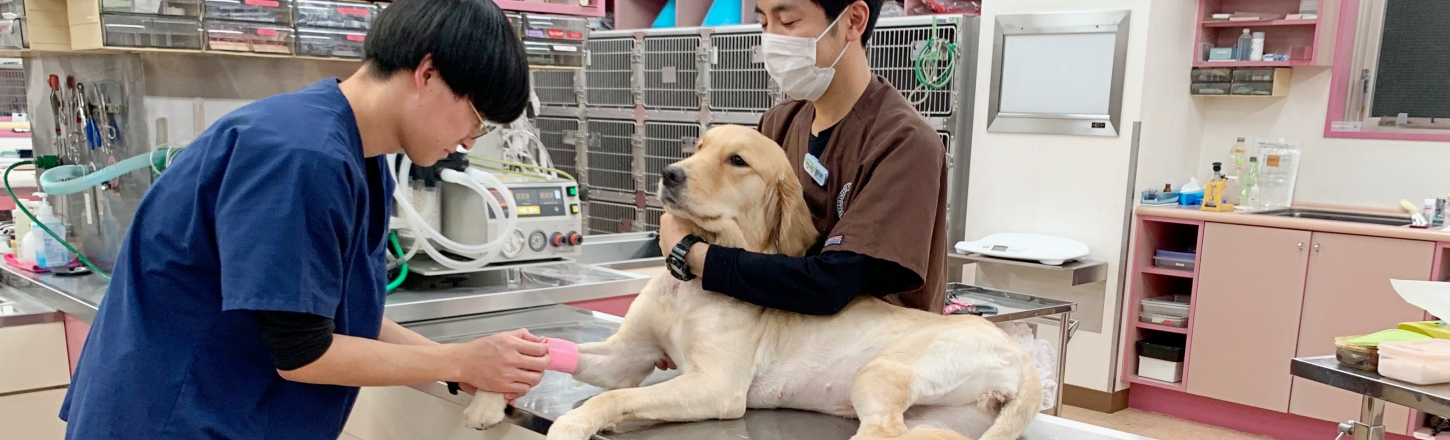 1日でも早く患者の状態を安定させる